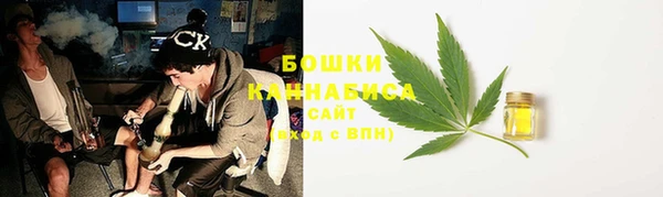 ECSTASY Богородицк