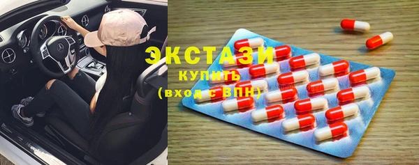 ECSTASY Богородицк